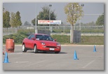 stfr3839.jpg